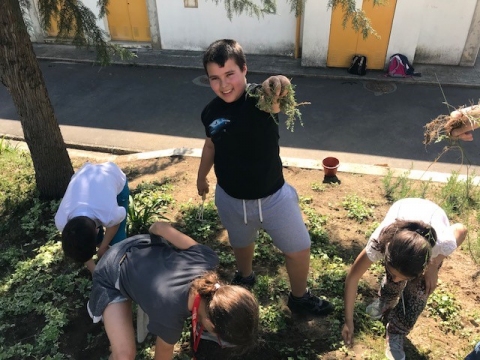 Manutenção de alguns espaços verdes da Escola – erradicação de invasoras – 3 maio 18